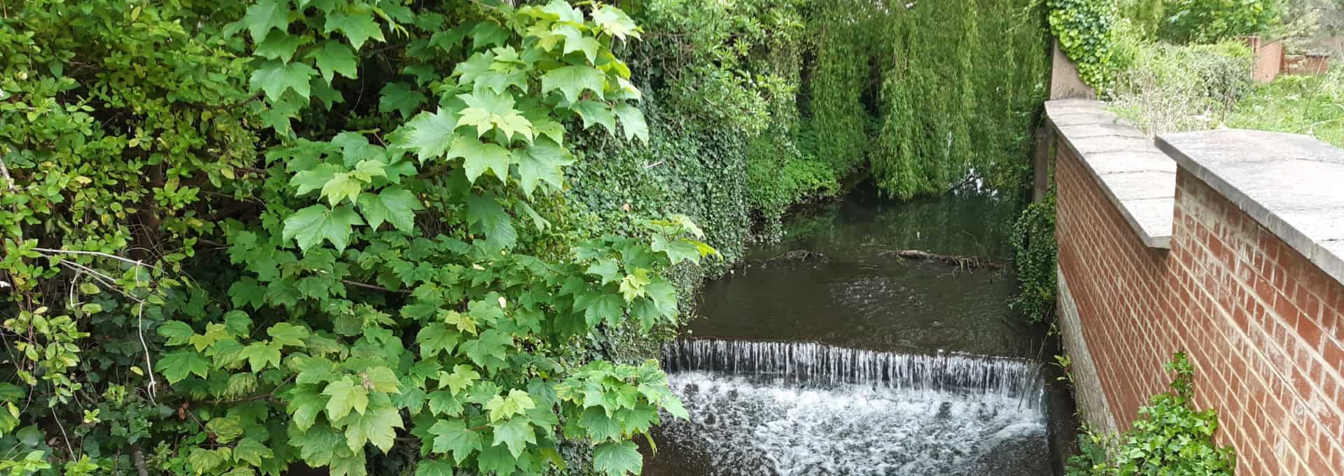 Watton at Stone Parish Council, lush green trees and water feature in local park.