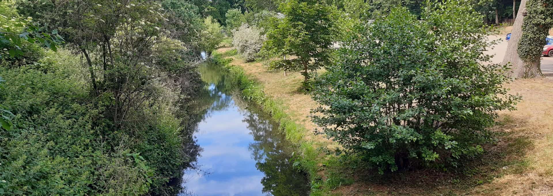 A peaceful river scene with lush greenery and clear blue sky in Watton Parish.